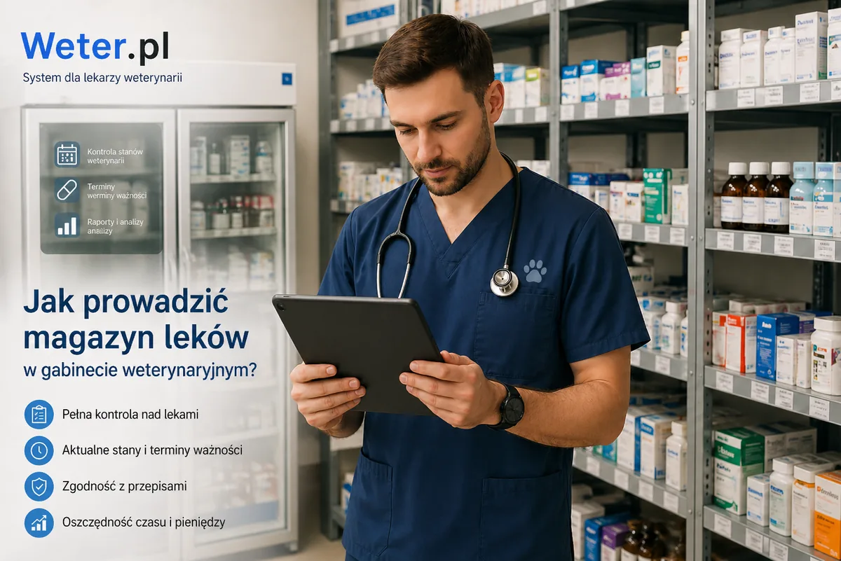 magazyn leków w gabinecie weterynaryjnym – program weterynaryjny i dokumentacja weterynaryjna